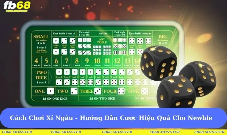 Cách chơi xí ngầu