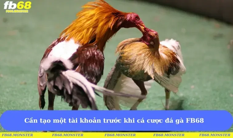 Cần tạo một tài khoản trước khi cá cược đá gà FB68