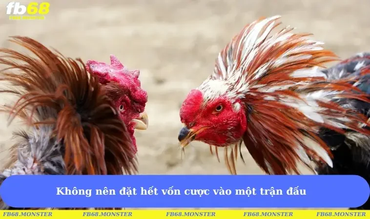 Không nên đặt hết vốn cược vào một trận đấu